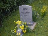 image of grave number 767897